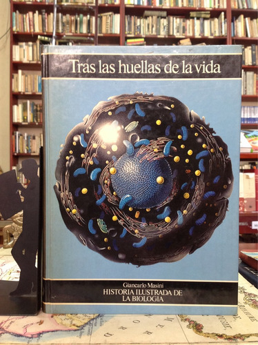 Tras Las Huellas De La Vida - Giancarlo Masini - Biología