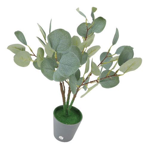Árvore De Eucalipto De Mesa Vermelha: Led Verde Encantador É