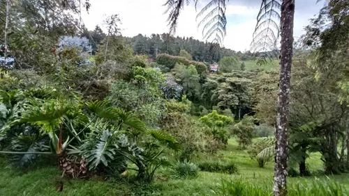 Finca En Venta En Loma Del Escobero. Cod V12621