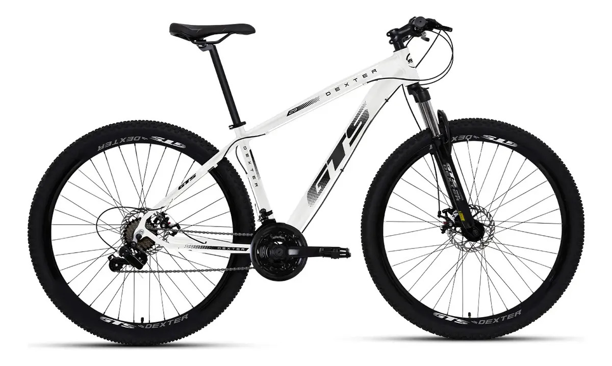 Bicicleta Aro 29 Gts Dexter 24v Cambio Shimano Freio A Disco Cor Branco Com Preto Tamanho Do Quadro 19