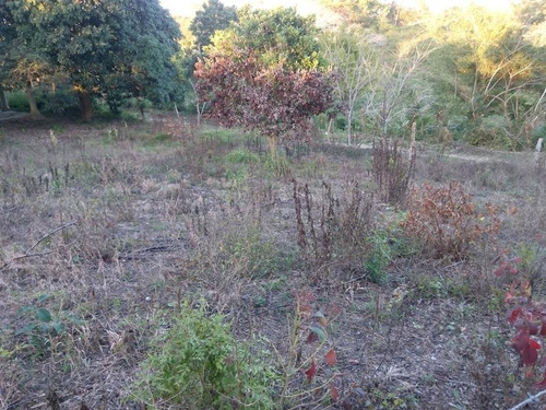 Terreno Venta 1050 M² En Esquina Cruz Naranjos Tuxpan Veracruz