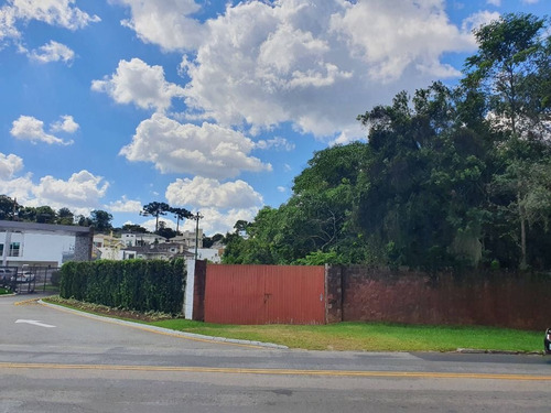 Imagem 6 de 19 de Área À Venda, 5053 M² Por R$ 1.350.000,00 - Tingui - Curitiba/pr - Ar0001
