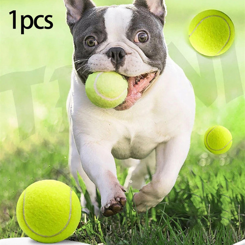 . Pelota De Tenis Elástica, Juguetes Interactivos De Goma