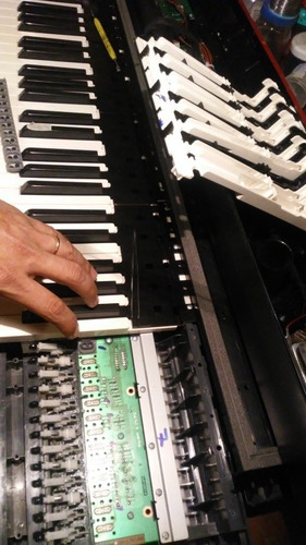 Set De Repuesto Para Teclados Casio Px320