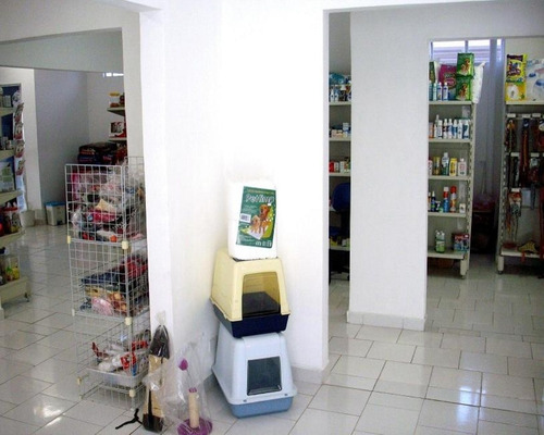 Imagem 3 de 18 de Prédio Na Vila Bethania - Pr00002 - 33229884