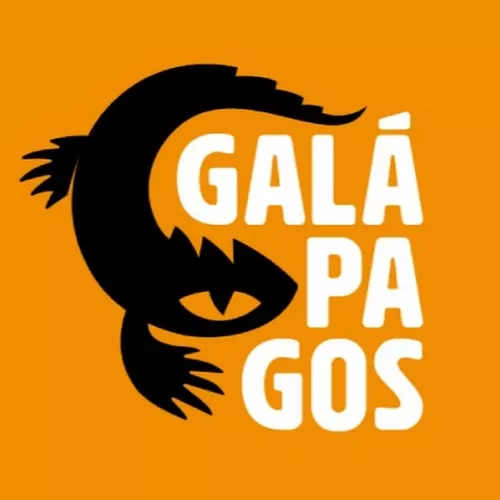 Galápagos, Telestrations, Jogo de Tabuleiro para Amigos, 4 a 8 jogadores,  20-30 min
