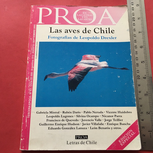 Las Aves De Chile Fotografias Leopoldo Drexler Poesía Pájaro