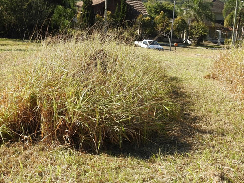 Imagem 5 de 30 de Terreno Gigante 1600 - 35519v