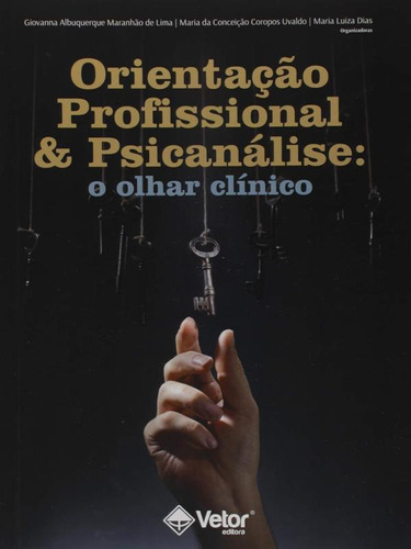 Orientação Profissional E Psicanálise: O Olhar Clínico, De -. Editora Vetor, Capa Mole Em Português