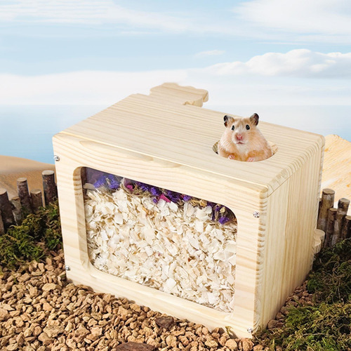 Caixa De Banho De Areia Para Hamster, Caixa De Escavação