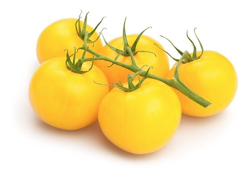 40 Semillas Tomate Amarillo 