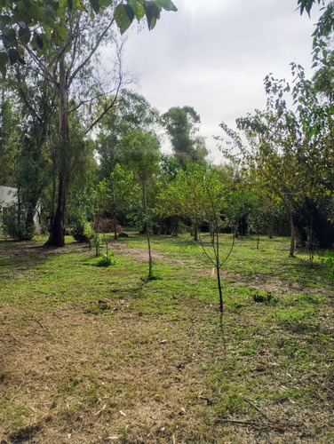 Terreno A 200 Metros De La Autopista 5