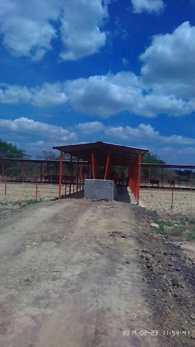 Imagen 2 de 8 de Finca En El Pao, El Baúl, Cojedes, De Oportunidad