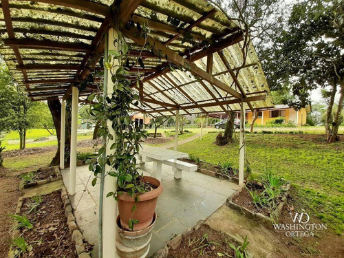 Imagem 13 de 30 de Chácara Com 2 Dormitórios À Venda, 37784 M² Por R$ 660.000,00 - Rio De Una - São José Dos Pinhais/pr - Ch0071