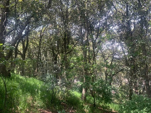 Terreno En Av.desierto De Los Leones