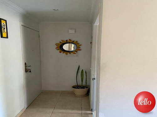 Apartamento - Ref: 217099