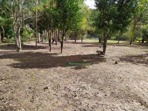 Imagem 6 de 18 de Chácara Com 3 Dormitórios À Venda, 5000 M² Por R$ 380.000,00 - Borda Do Campo - Cunha/sp - Ch0587