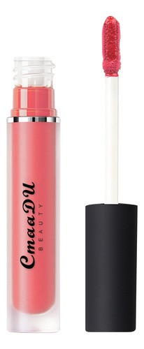 Brillo De Labios M 15 Color Matte Antiadherente En Forma De