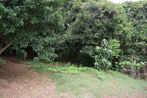 Imagen 5 de 14 de Lote Plano De 878 M2, 400m Al Este Del Lagar En San Isidro