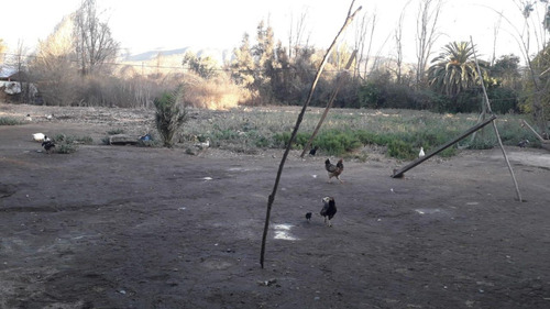 Amplio Terreno, Para Uso Rural Y Comercial.
