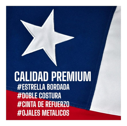 Bandera Chilena Bordada 60x90 Cms Reforzada Doble Costura 