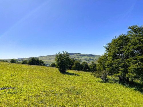 Coyhaique (64864)