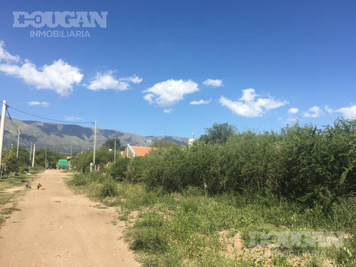 Imagen 7 de 8 de Terreno - Junin