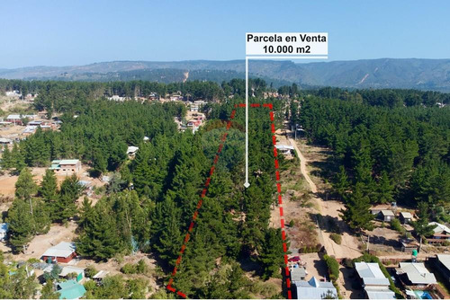 Excelente Parcela De 1 Hectárea En Laguna Verde