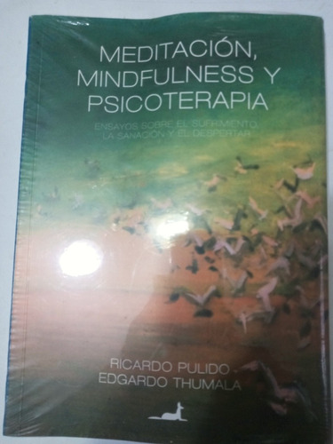 Meditacion Mindfulness Y Psicoterapiaric.pulido/edg.thumala