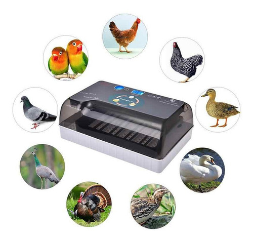 Imagen 2 de 8 de Incubadora 36 Huevos Nacedora Gallina Pavo Pato Aves Pollos