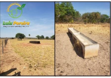 Imagem 3 de 6 de Fazenda Em Abreulândia - To 1.001 Hectares (dupla Aptidão) - 1953