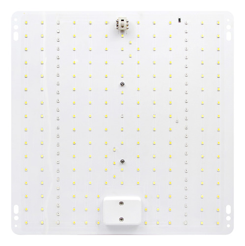 Lâmpada De Crescimento Interna De Cor Verde Home Spectrum Fu