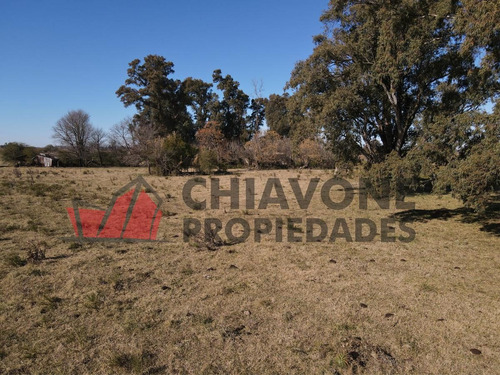 Imagen 6 de 15 de Campo - Zapiola