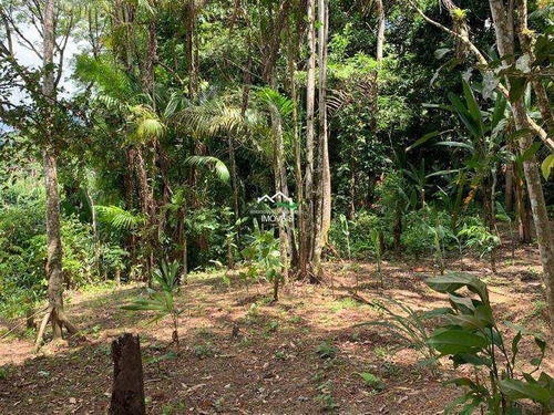 Chácara - Em Pedro De Toledo-sp, Sua Melhor Opção - Ref 510