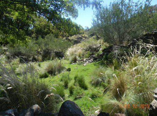 Venta De Campo, Las Chacras, San Luis