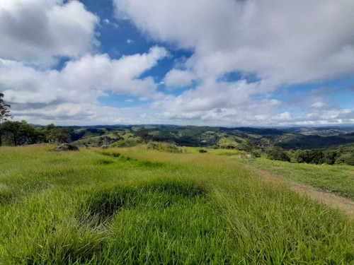 Imagem 10 de 10 de Lotes Plainos E Limpos Em São Roque
