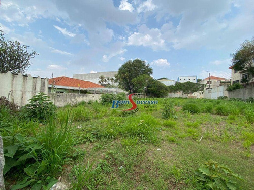 Imagem 6 de 7 de Terreno À Venda, 960 M² Por R$ 2.650.000,00 - Vila Invernada - São Paulo/sp - Te0475