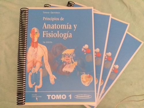 Anatomía Y Fisiología Tortora 13ed 