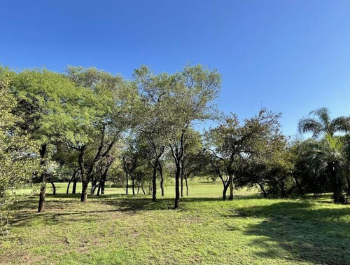 Imagen 6 de 10 de Lote Terreno En Venta Country Lomas De La Carolina