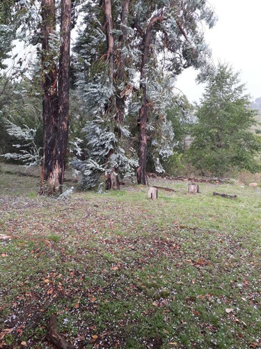 Imagen 12 de 14 de Chacra En Venta En Yacanto, Cordoba (15 Has)