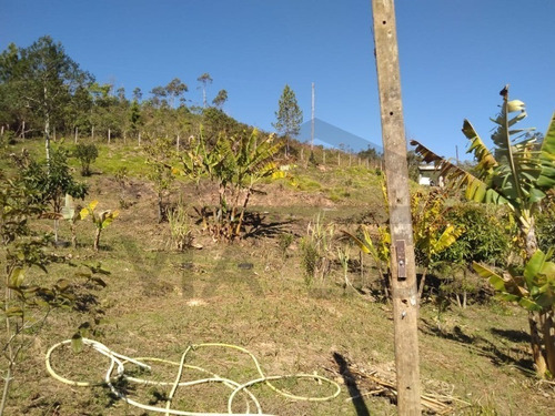 Imagem 5 de 28 de Chácara Modesta Com Boa Localização!!! - 272 - 69892463
