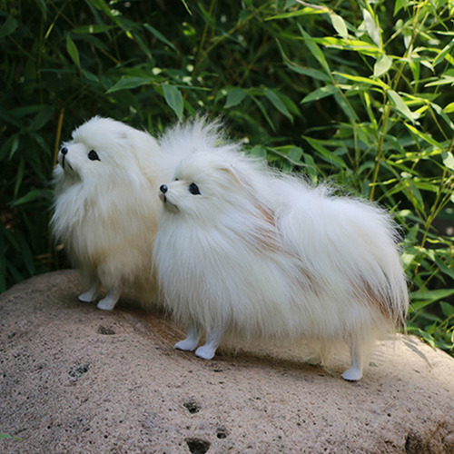Simulación, Modelo De Perro De Pomerania, Juguetes De Peluch