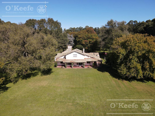 Imagen 3 de 25 de Campo De 705 Has En Venta En Necochea - Mixto Con Casco - 70 % Agricola.