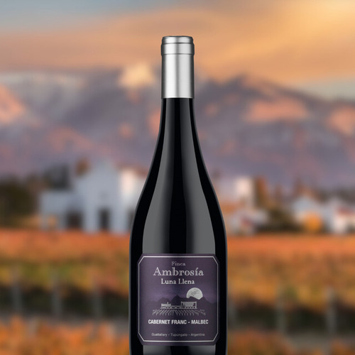 Vino Luna Llena Blend Cabernet Franc Malbec 6x750ml-ambrosia