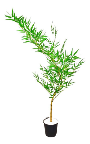 Planta Artificial Bambu Mossô Da Sorte Com Vaso De Apoio