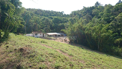Imagem 6 de 15 de Área Residencial À Venda, Planalto (caucaia Do Alto), Cotia. - Ar0493
