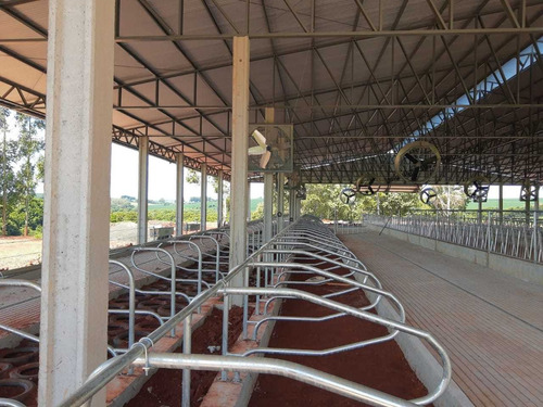 Contenções Sala De Ordenha,canzil, Bezerreiros Galvanizado