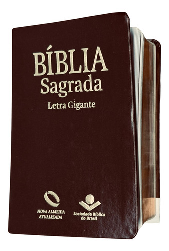 Bíblia Sagrada Letra Gigante Naa Luxo Capa Marrom 