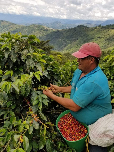 Grandiosa Fabrica Y Finca De Café En Venta La Clara Ebéjico