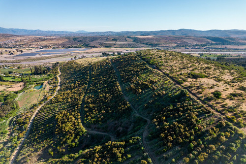 Cumbres De Aurora
